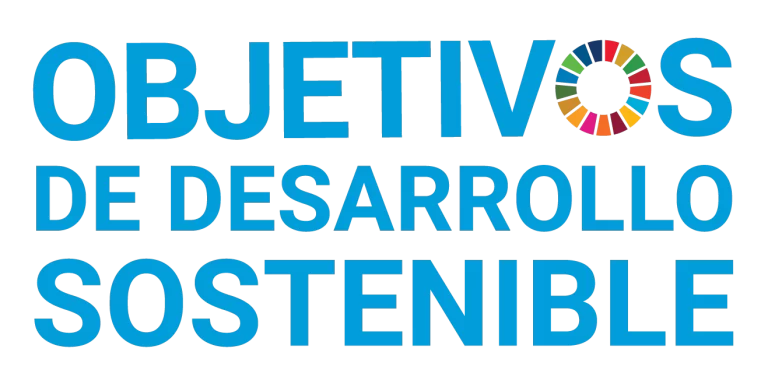 s sdg logo without un emblem square transparent web